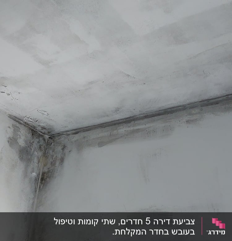 תקרה עם סימני רטיבות ועובש לפני צביעה